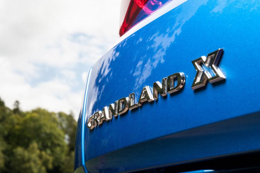 Логотип Vauxhall Grandland X Turbo 2017 года  (фото 14 из 17)